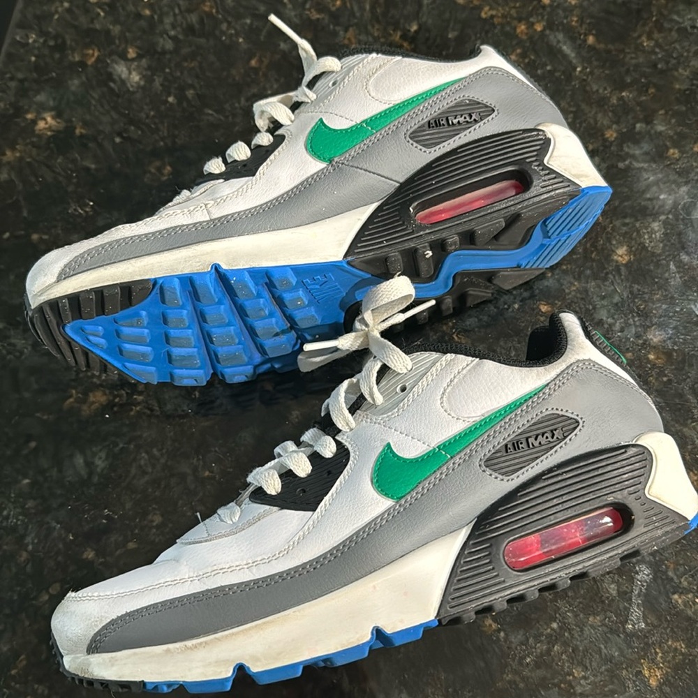 Nike Air Max 90 LTR Big Kids’ Shoes